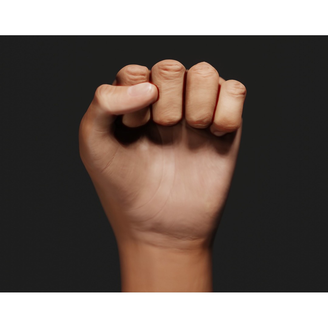 Female Left Hand 3D Model – Rigged Low-Poly Asset, Blender, FBX, OBJ - View 9