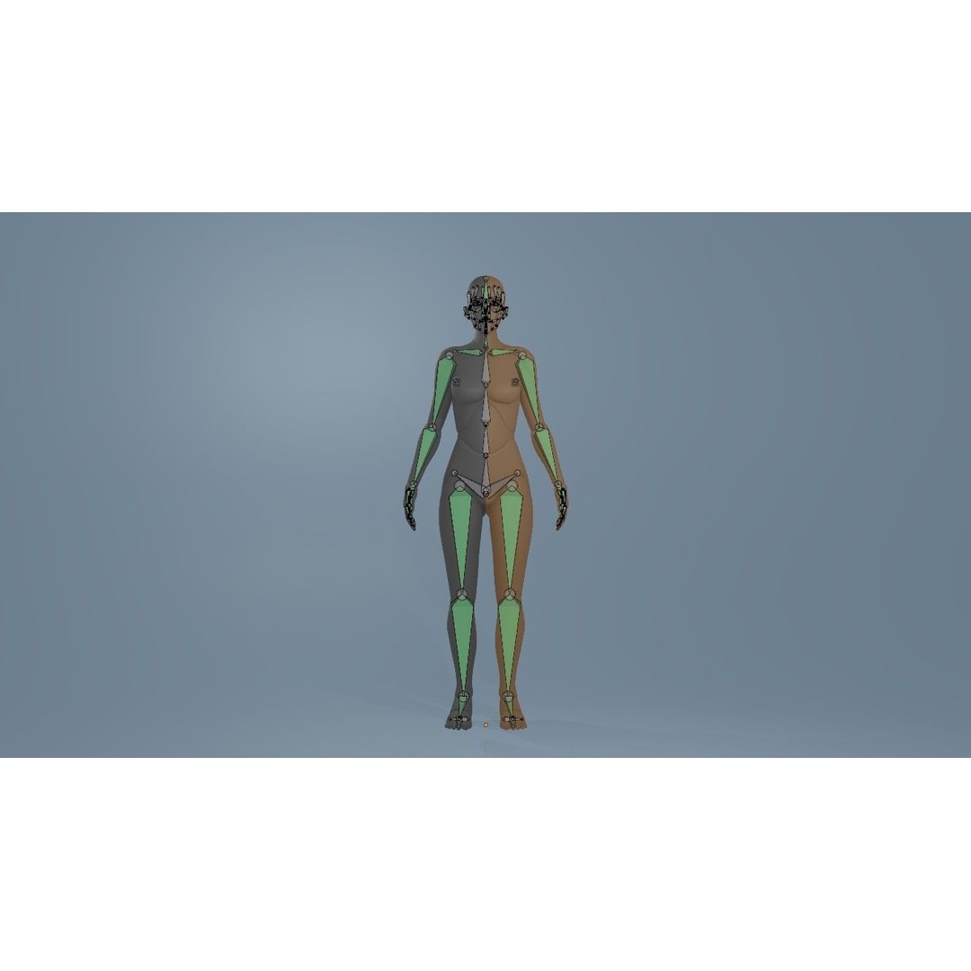 Rigged Dolls 3D Model – Low Poly Character with PBR Textures, FBX - View 29