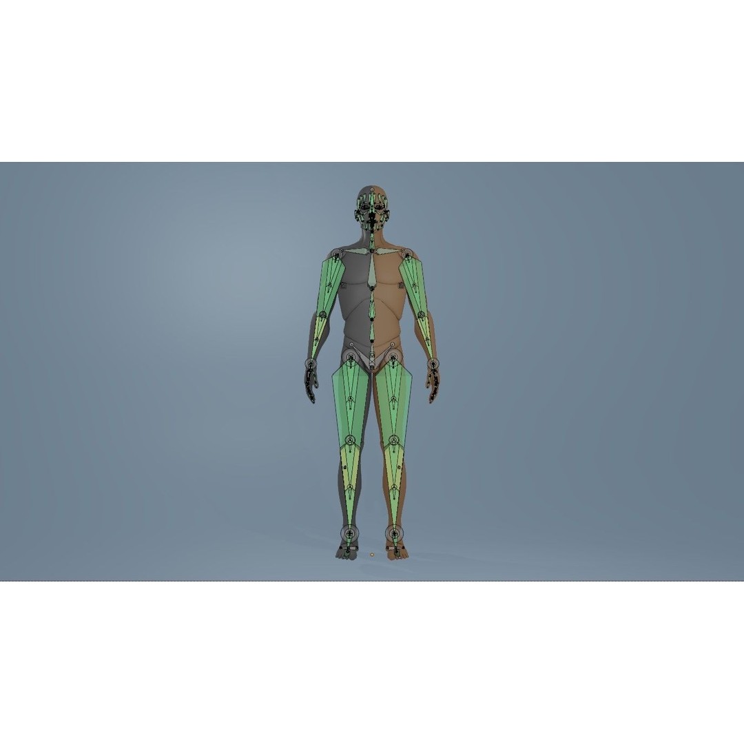 Rigged Dolls 3D Model – Low Poly Character with PBR Textures, FBX - View 36