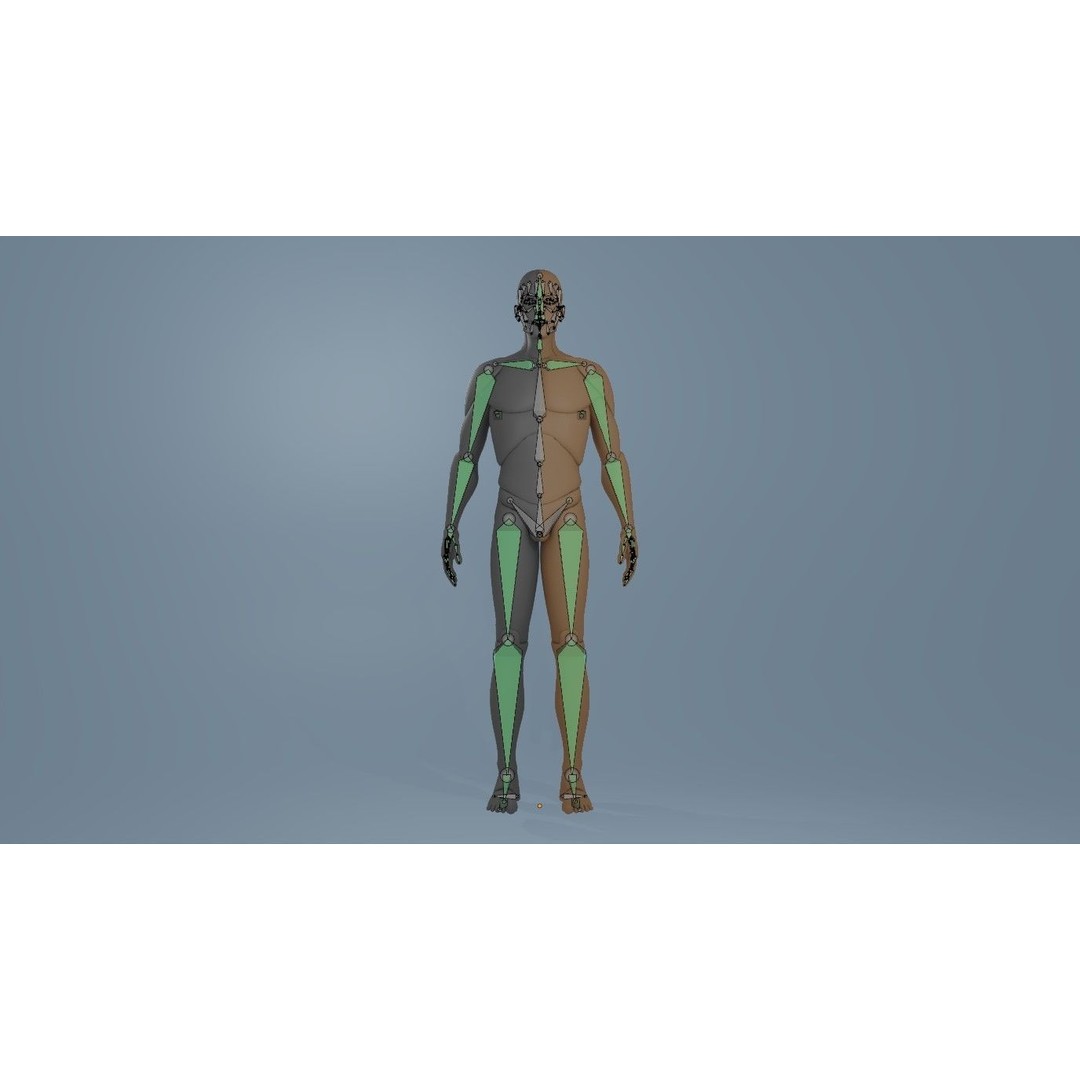 Rigged Dolls 3D Model – Low Poly Character with PBR Textures, FBX - View 37