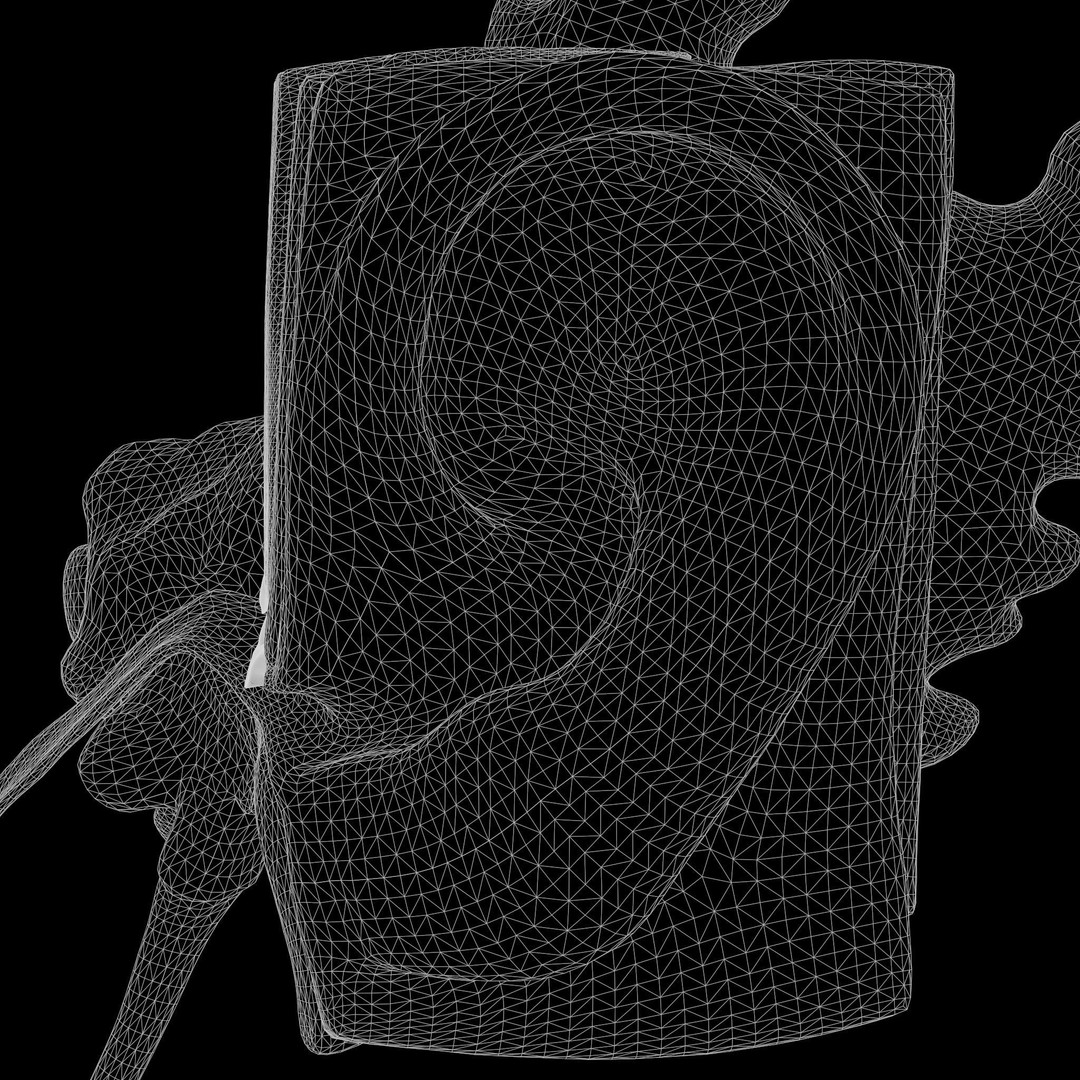 Ear Structure Anatomy Section 3D Model – PBR Medical Asset, FBX & More - View 13