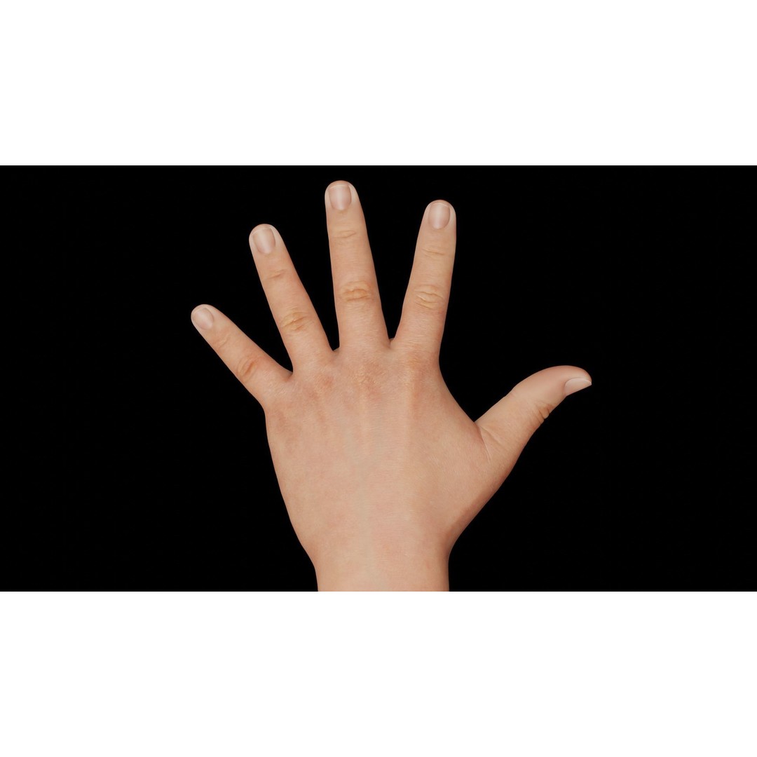 Rigged Hands 3D Model – Low Poly Animated Character Asset, FBX - View 11