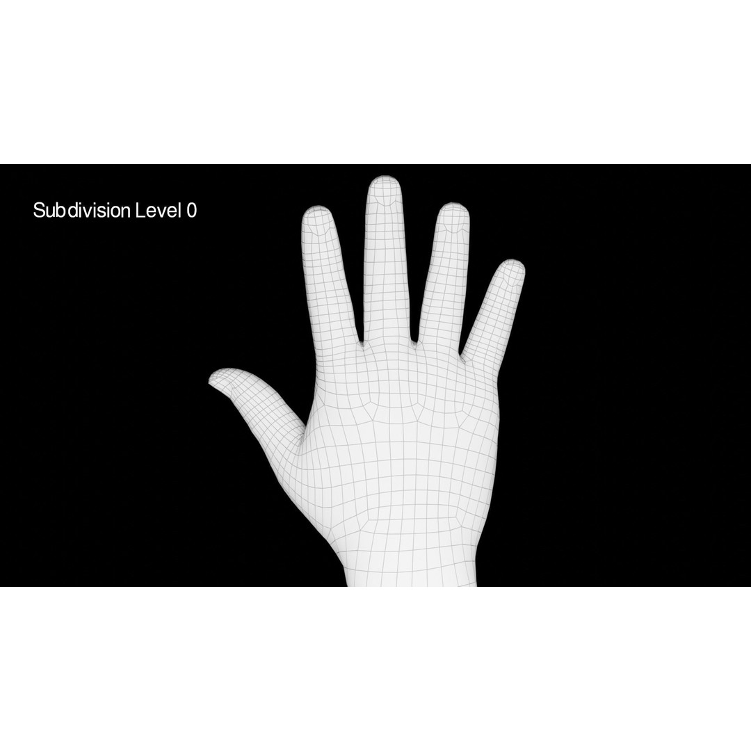 Rigged Hands 3D Model – Low Poly Animated Character Asset, FBX - View 14