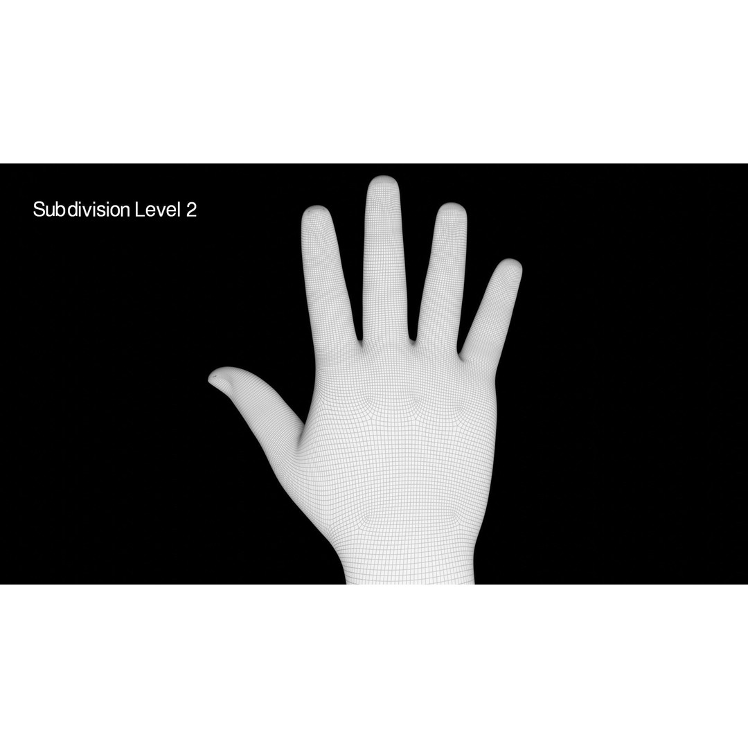 Rigged Hands 3D Model – Low Poly Animated Character Asset, FBX - View 16