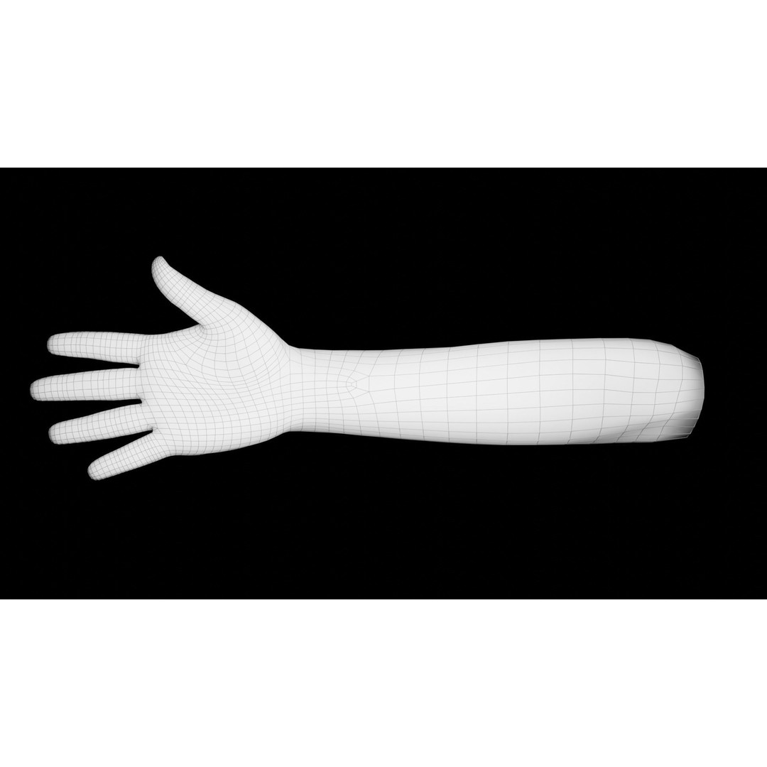 Rigged Hands 3D Model – Low Poly Animated Character Asset, FBX - View 22