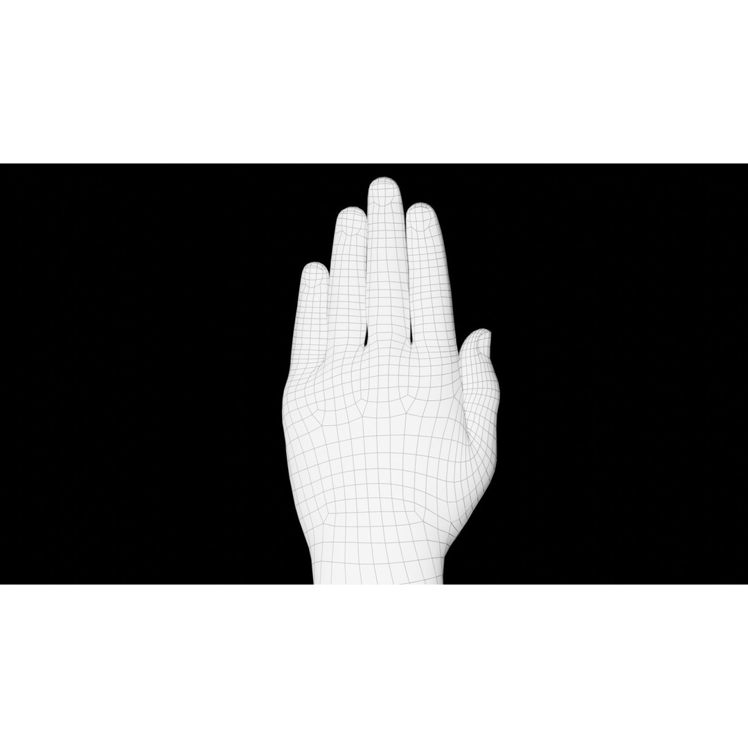 Rigged Hands 3D Model – Low Poly Animated Character Asset, FBX - View 24