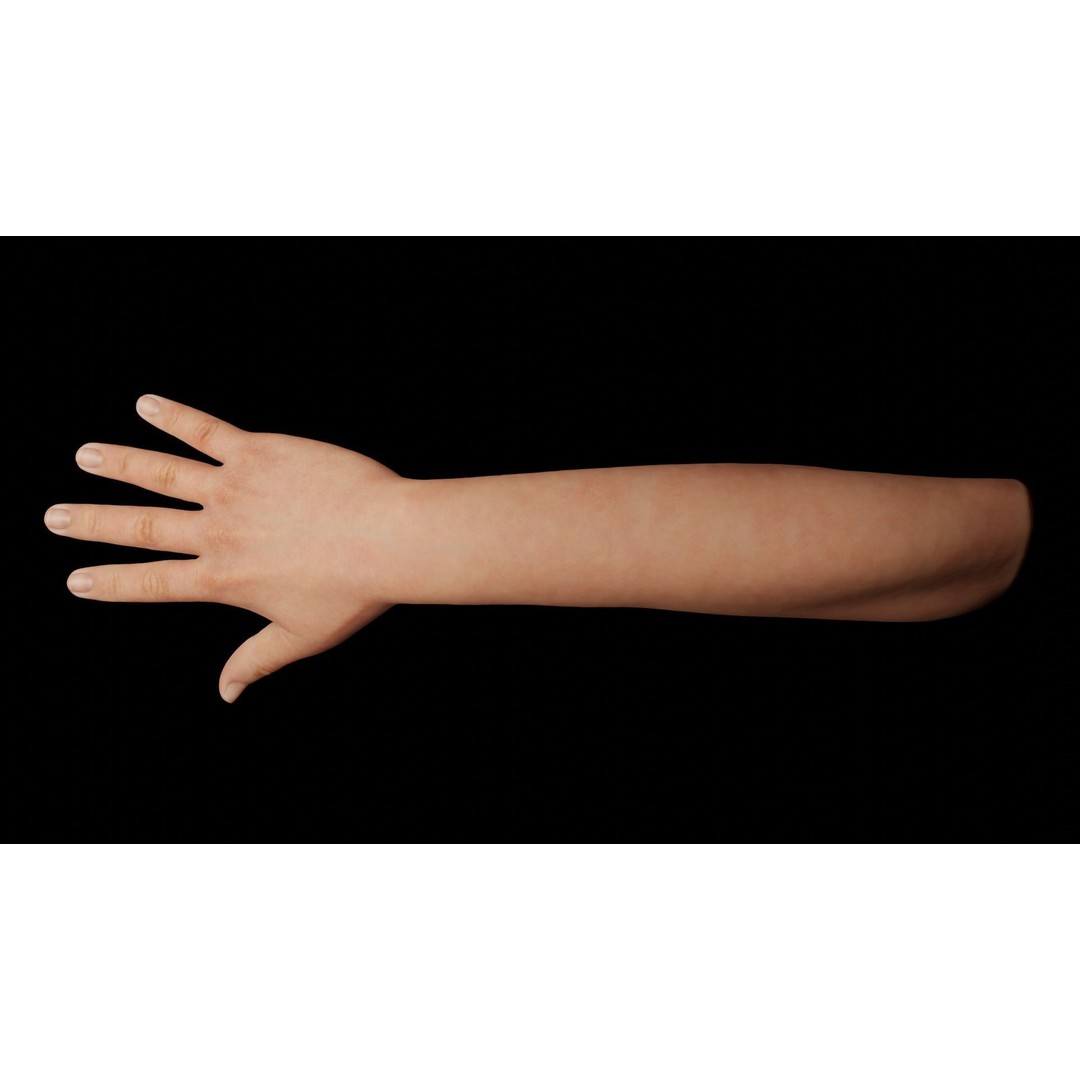 Rigged Hands 3D Model – Low Poly Animated Character Asset, FBX - View 7