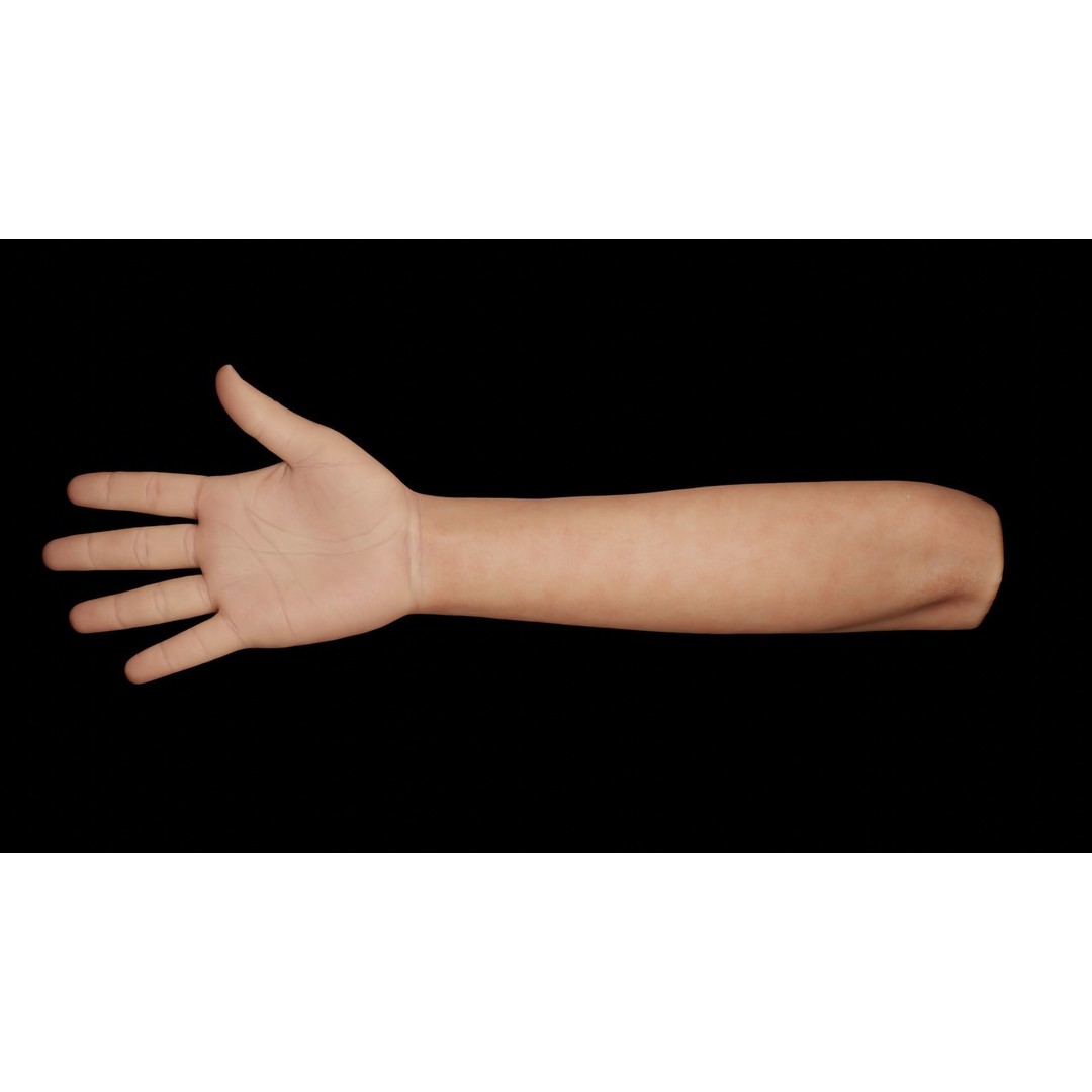 Rigged Hands 3D Model – Low Poly Animated Character Asset, FBX - View 8