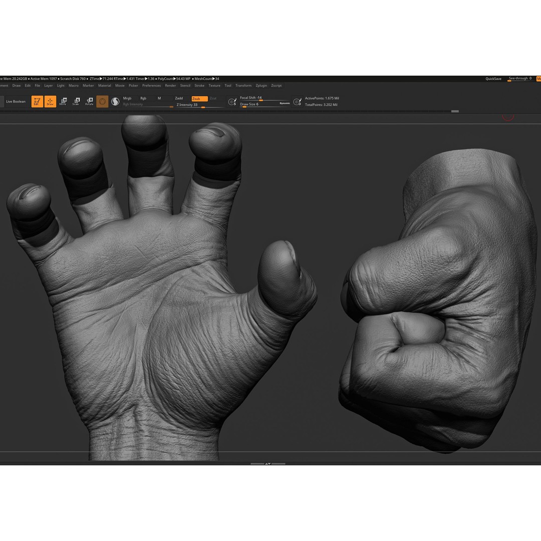 Male Hand 3D Model – Realistic Sculpt in 2 Poses, FBX, OBJ