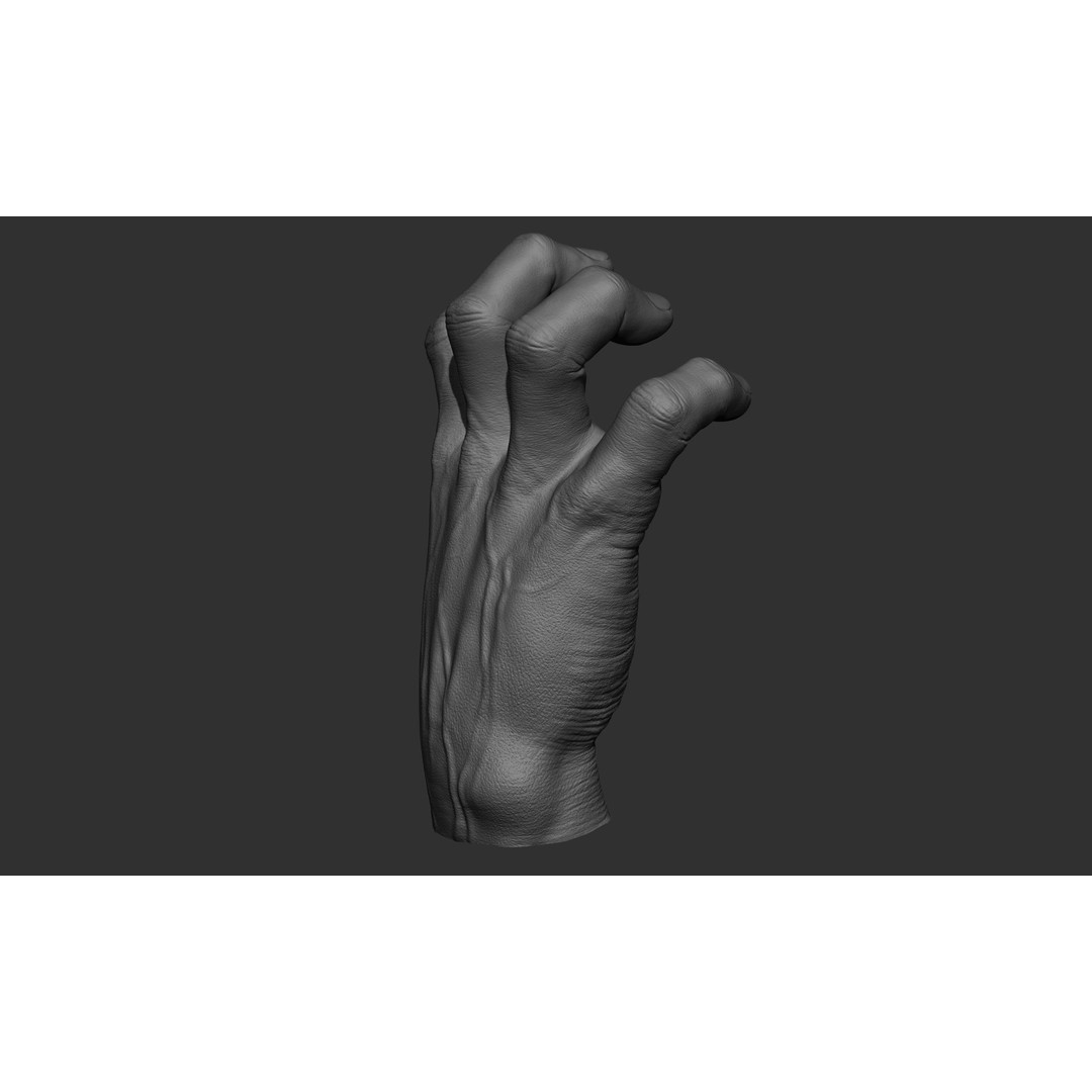 Male Hand 3D Model – Realistic Sculpt in 2 Poses, FBX, OBJ - View 10
