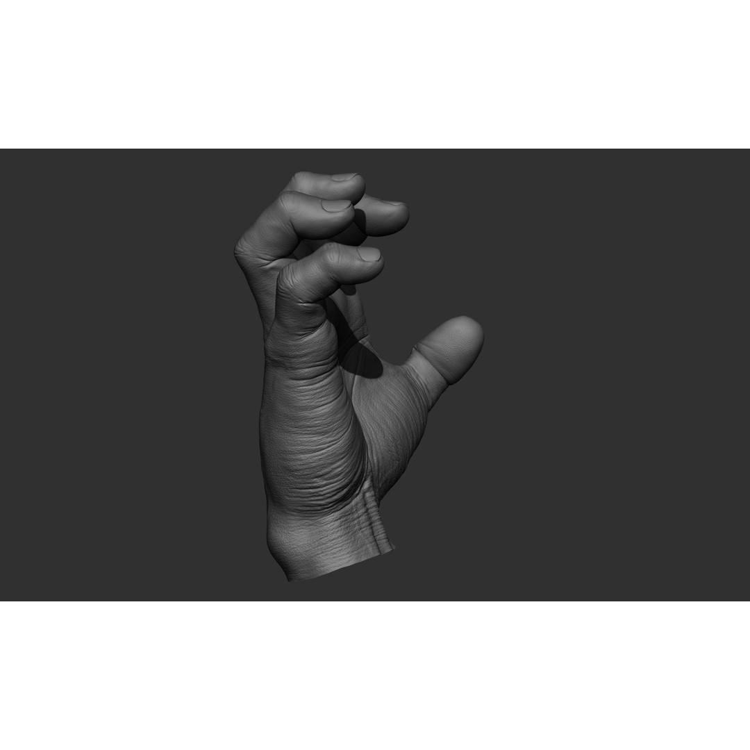 Male Hand 3D Model – Realistic Sculpt in 2 Poses, FBX, OBJ - View 11