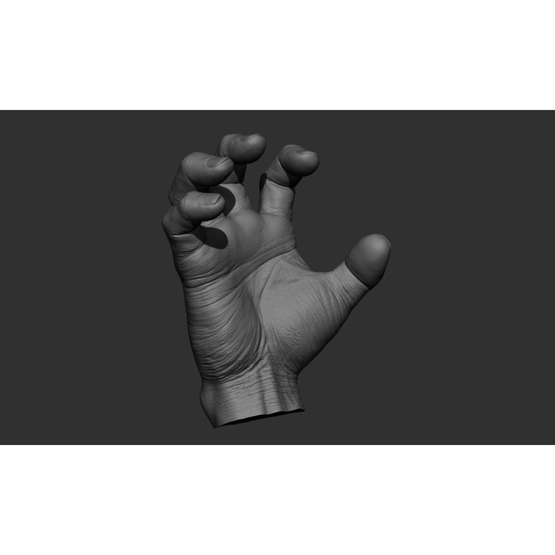 Male Hand 3D Model – Realistic Sculpt in 2 Poses, FBX, OBJ - View 12