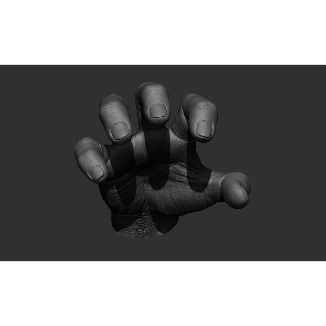 Male Hand 3D Model – Realistic Sculpt in 2 Poses, FBX, OBJ - View 13