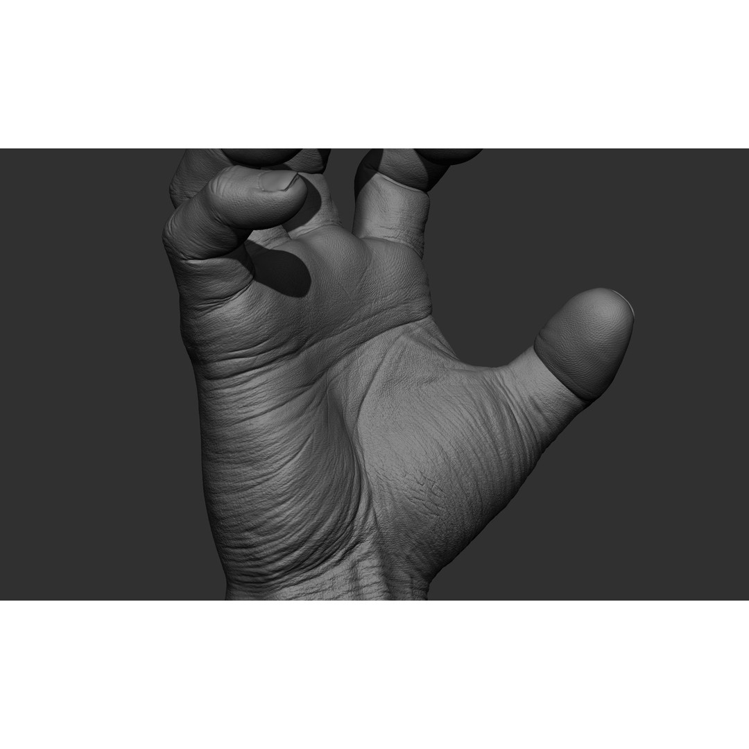 Male Hand 3D Model – Realistic Sculpt in 2 Poses, FBX, OBJ - View 15