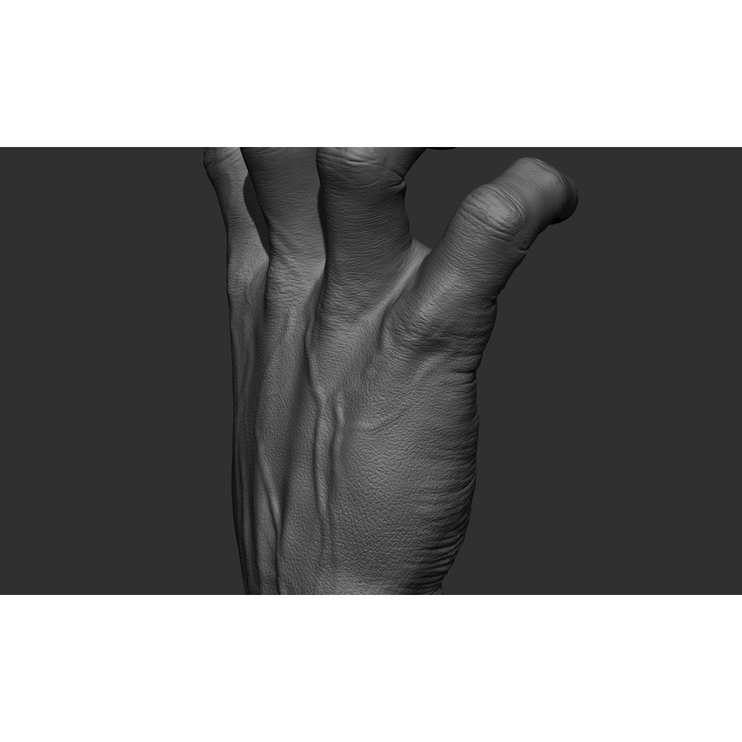 Male Hand 3D Model – Realistic Sculpt in 2 Poses, FBX, OBJ - View 16
