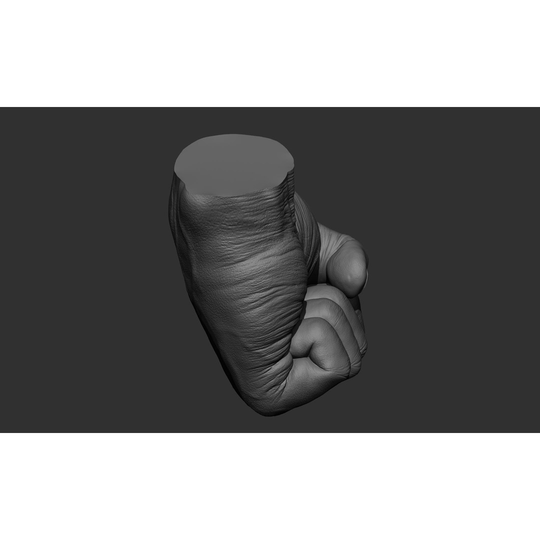 Male Hand 3D Model – Realistic Sculpt in 2 Poses, FBX, OBJ - View 19