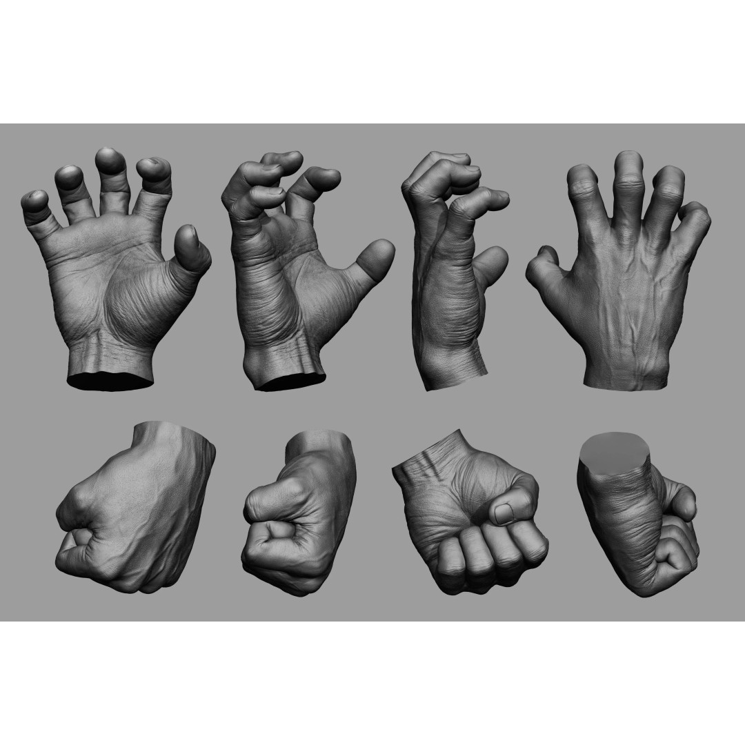 Male Hand 3D Model – Realistic Sculpt in 2 Poses, FBX, OBJ - View 2