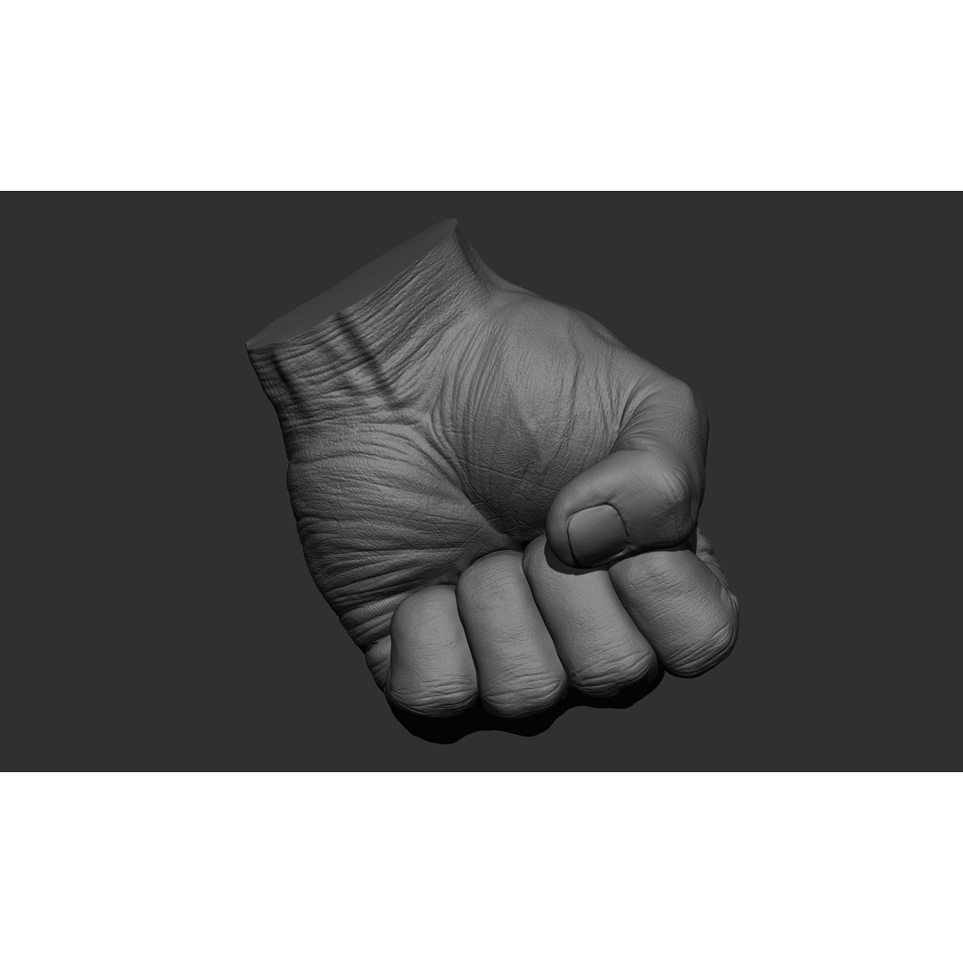 Male Hand 3D Model – Realistic Sculpt in 2 Poses, FBX, OBJ - View 20