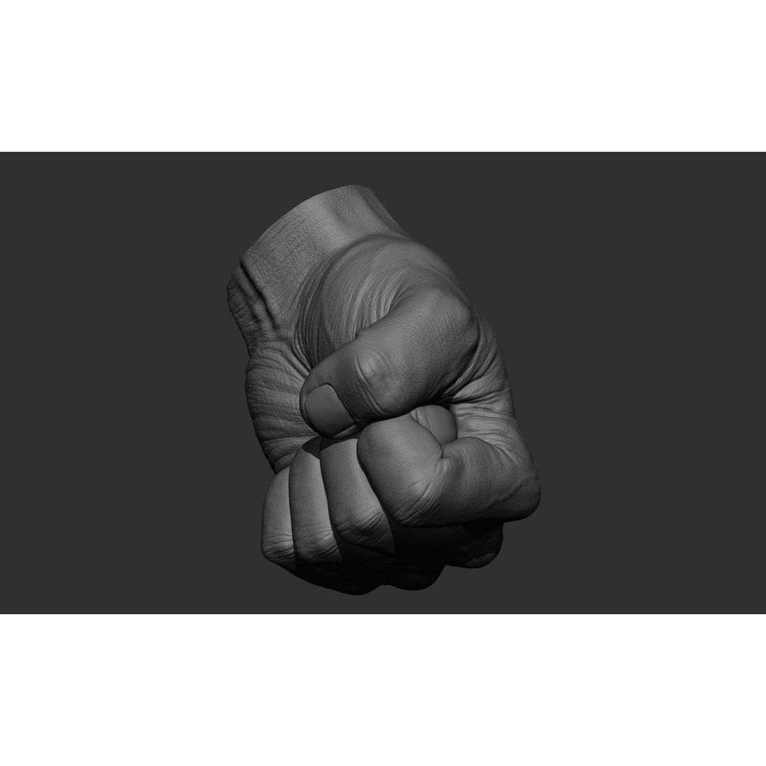 Male Hand 3D Model – Realistic Sculpt in 2 Poses, FBX, OBJ - View 21