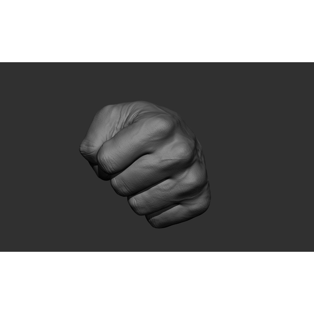 Male Hand 3D Model – Realistic Sculpt in 2 Poses, FBX, OBJ - View 22