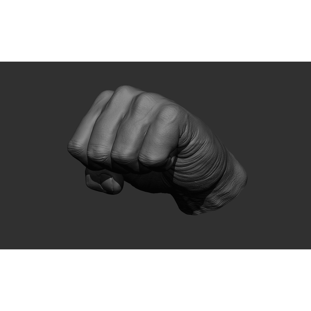 Male Hand 3D Model – Realistic Sculpt in 2 Poses, FBX, OBJ - View 23