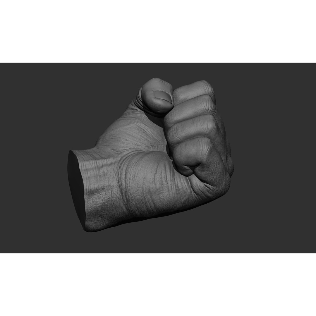 Male Hand 3D Model – Realistic Sculpt in 2 Poses, FBX, OBJ - View 24