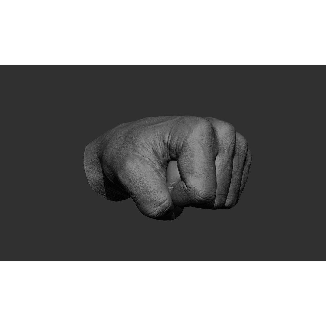 Male Hand 3D Model – Realistic Sculpt in 2 Poses, FBX, OBJ - View 25