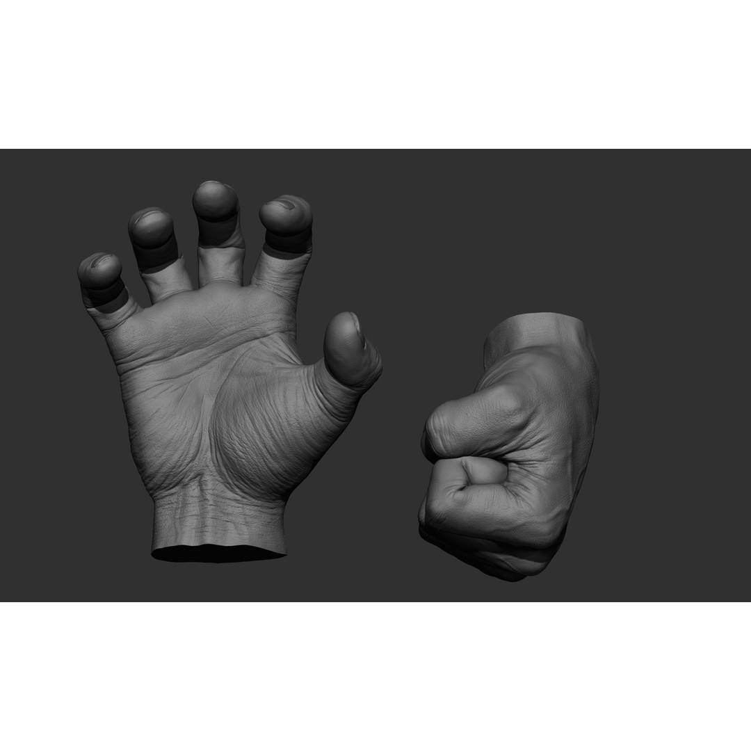 Male Hand 3D Model – Realistic Sculpt in 2 Poses, FBX, OBJ - View 26