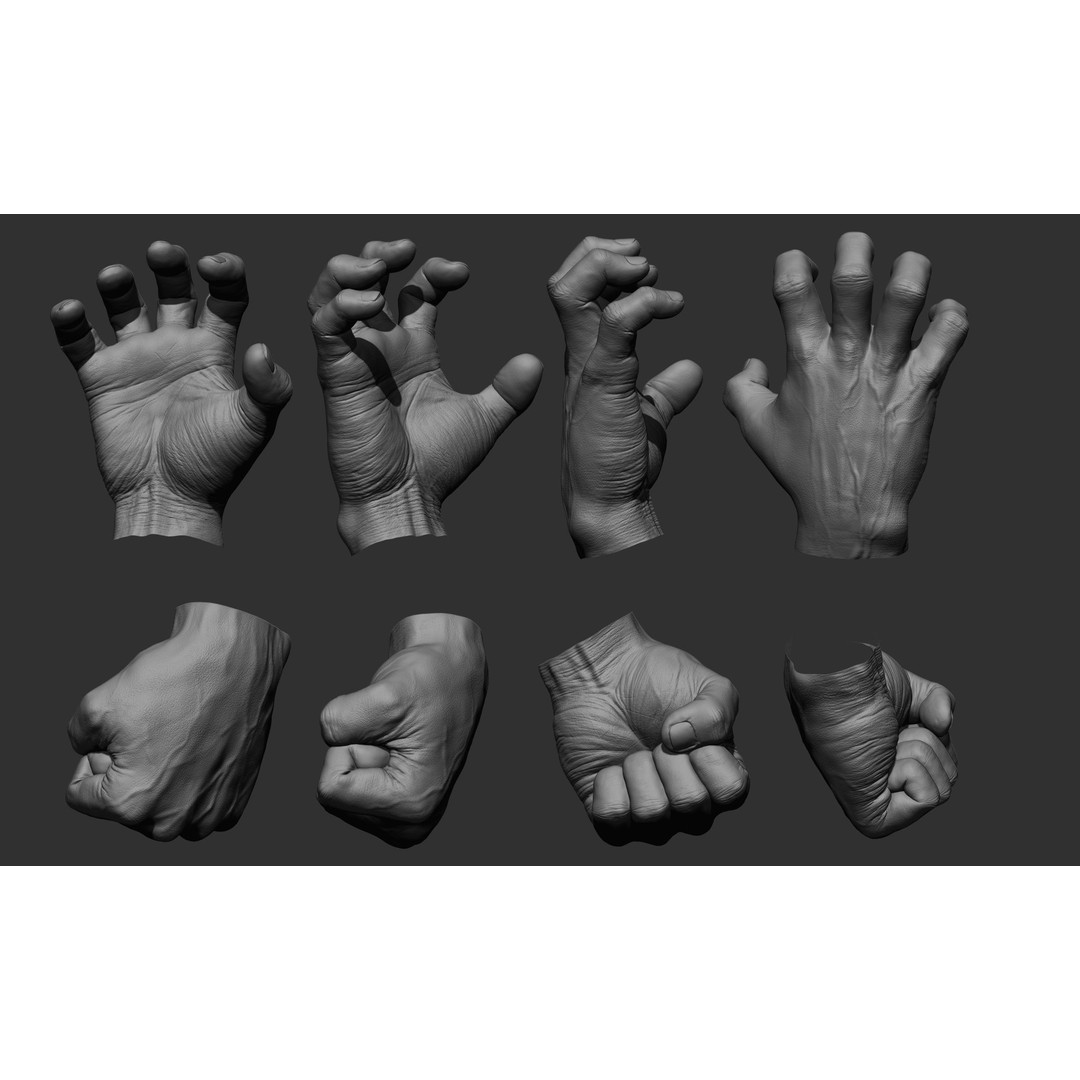 Male Hand 3D Model – Realistic Sculpt in 2 Poses, FBX, OBJ - View 3