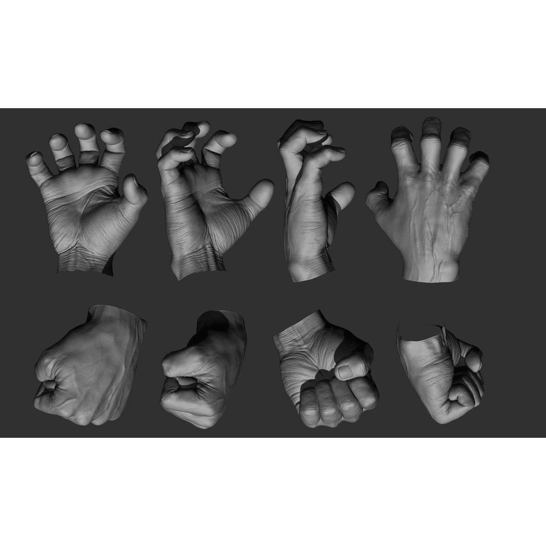 Male Hand 3D Model – Realistic Sculpt in 2 Poses, FBX, OBJ - View 4