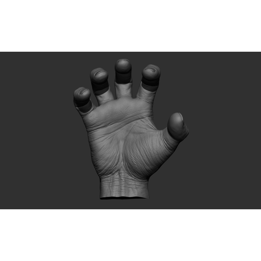 Male Hand 3D Model – Realistic Sculpt in 2 Poses, FBX, OBJ - View 5