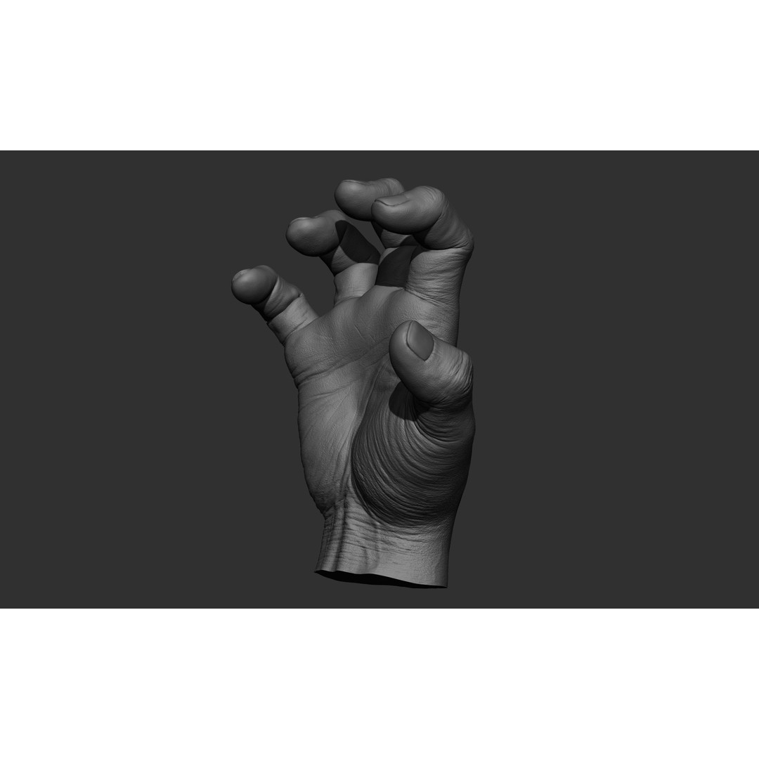Male Hand 3D Model – Realistic Sculpt in 2 Poses, FBX, OBJ - View 6