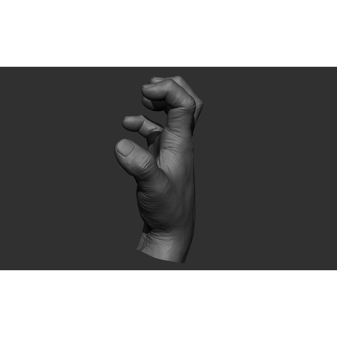 Male Hand 3D Model – Realistic Sculpt in 2 Poses, FBX, OBJ - View 7