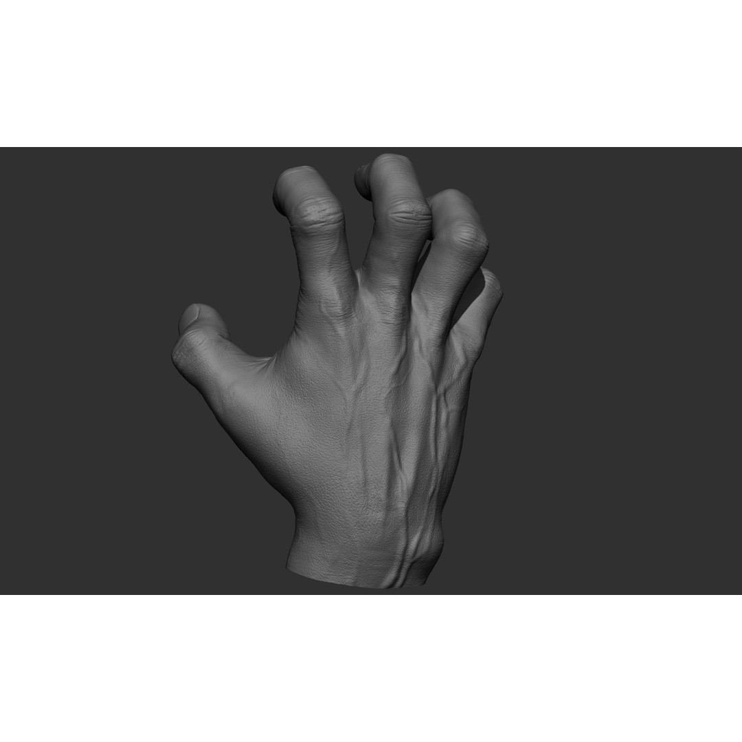 Male Hand 3D Model – Realistic Sculpt in 2 Poses, FBX, OBJ - View 8