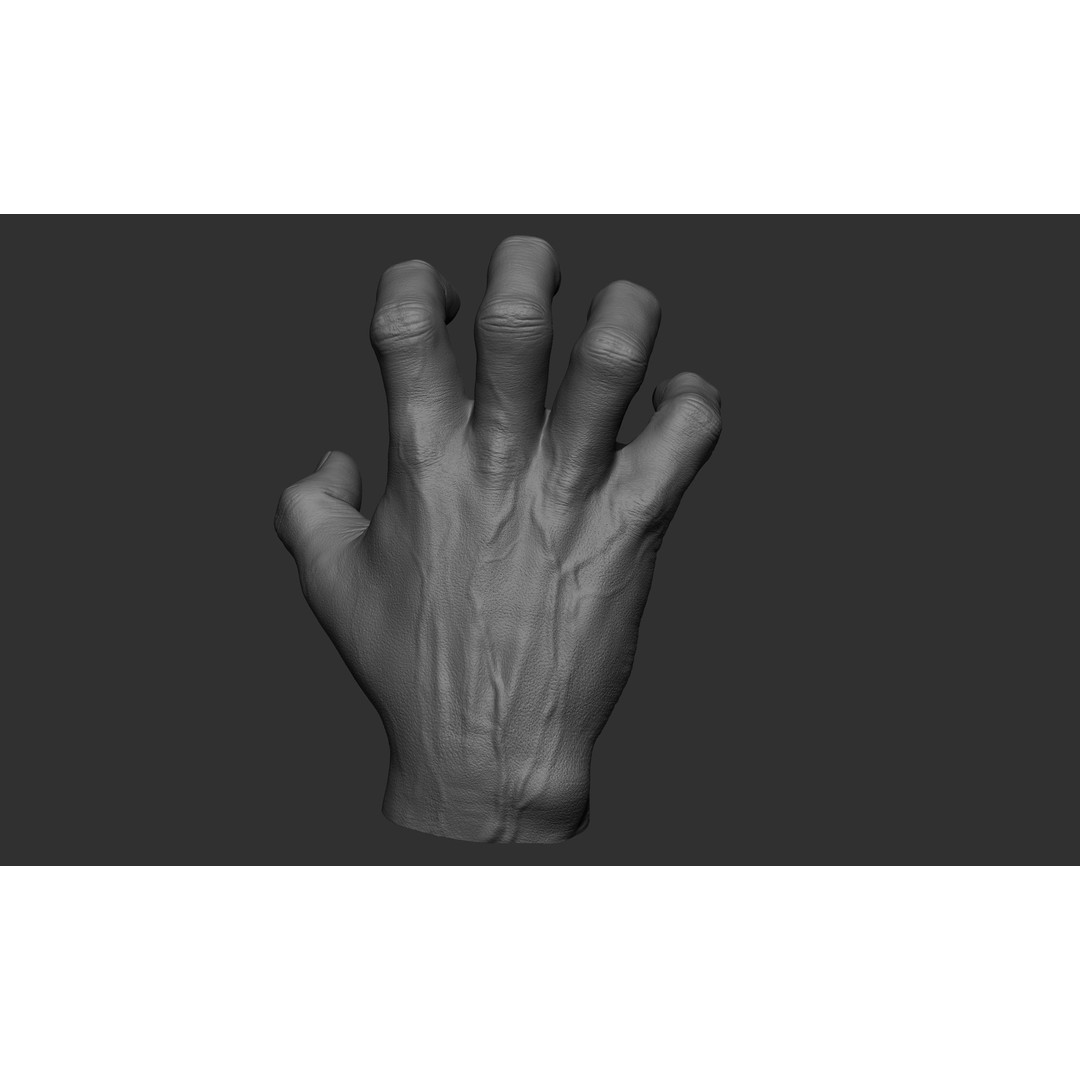 Male Hand 3D Model – Realistic Sculpt in 2 Poses, FBX, OBJ - View 9