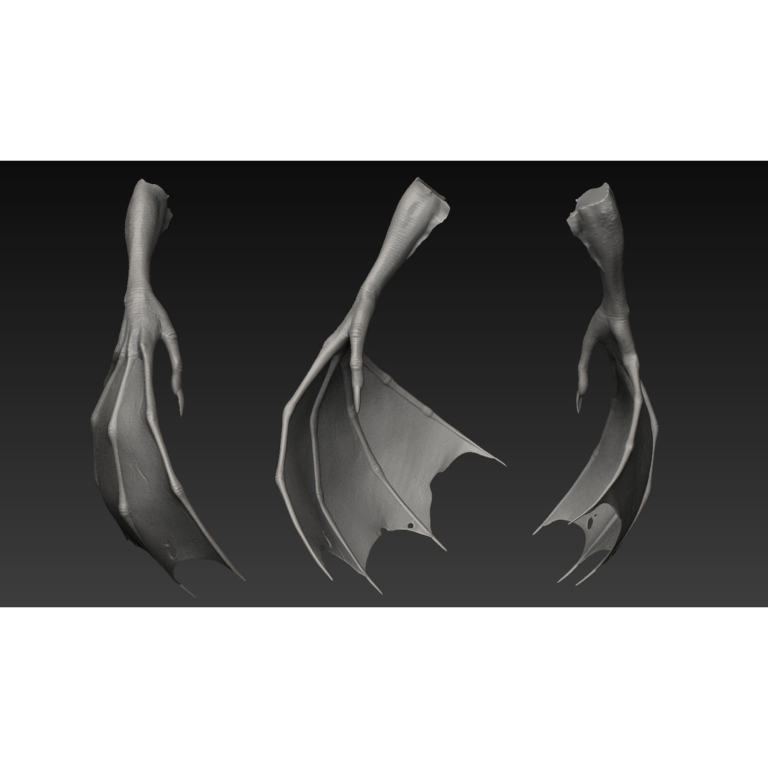 Hand 3D Model – Detailed Realistic Claws and Fingers, OBJ, STL