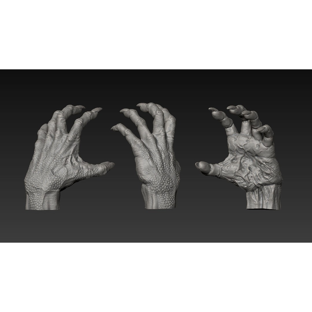 Hand 3D Model – Detailed Realistic Claws and Fingers, OBJ, STL - View 12