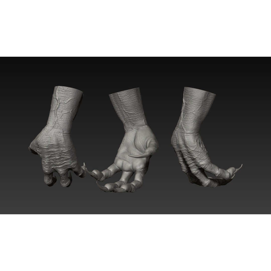 Hand 3D Model – Detailed Realistic Claws and Fingers, OBJ, STL - View 13