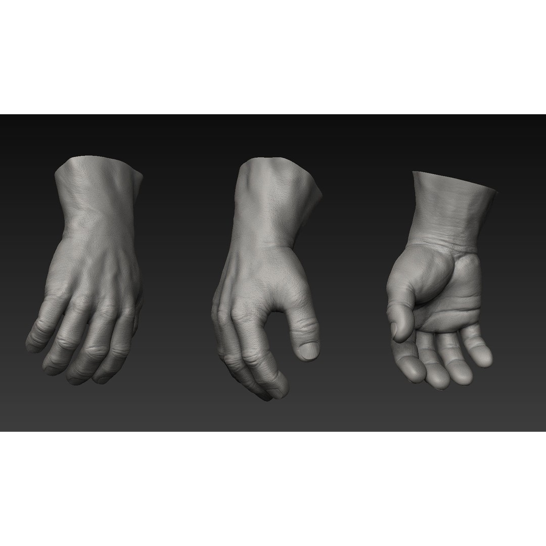 Hand 3D Model – Detailed Realistic Claws and Fingers, OBJ, STL - View 14
