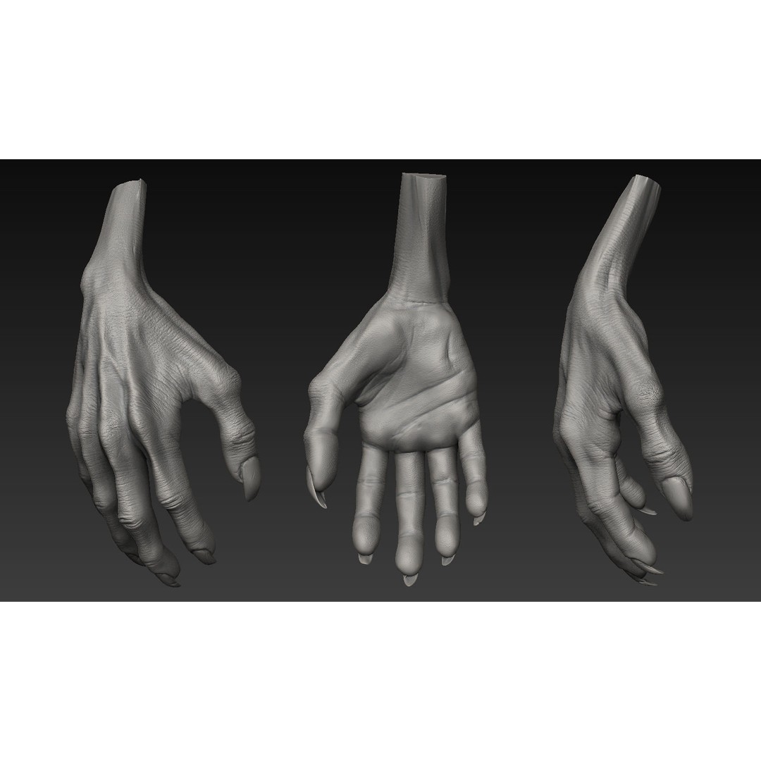 Hand 3D Model – Detailed Realistic Claws and Fingers, OBJ, STL - View 15