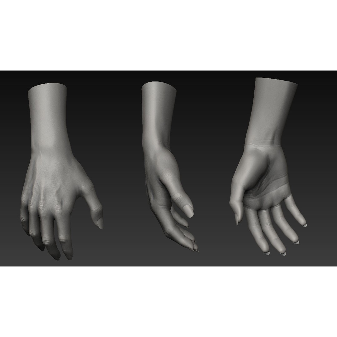 Hand 3D Model – Detailed Realistic Claws and Fingers, OBJ, STL - View 16