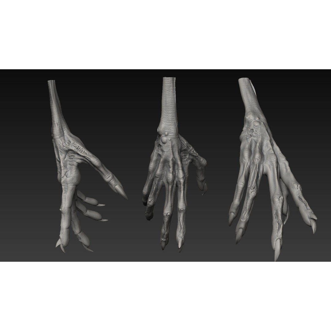 Hand 3D Model – Detailed Realistic Claws and Fingers, OBJ, STL - View 17