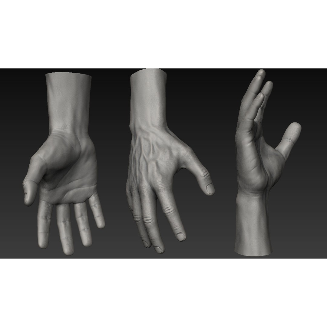 Hand 3D Model – Detailed Realistic Claws and Fingers, OBJ, STL - View 18