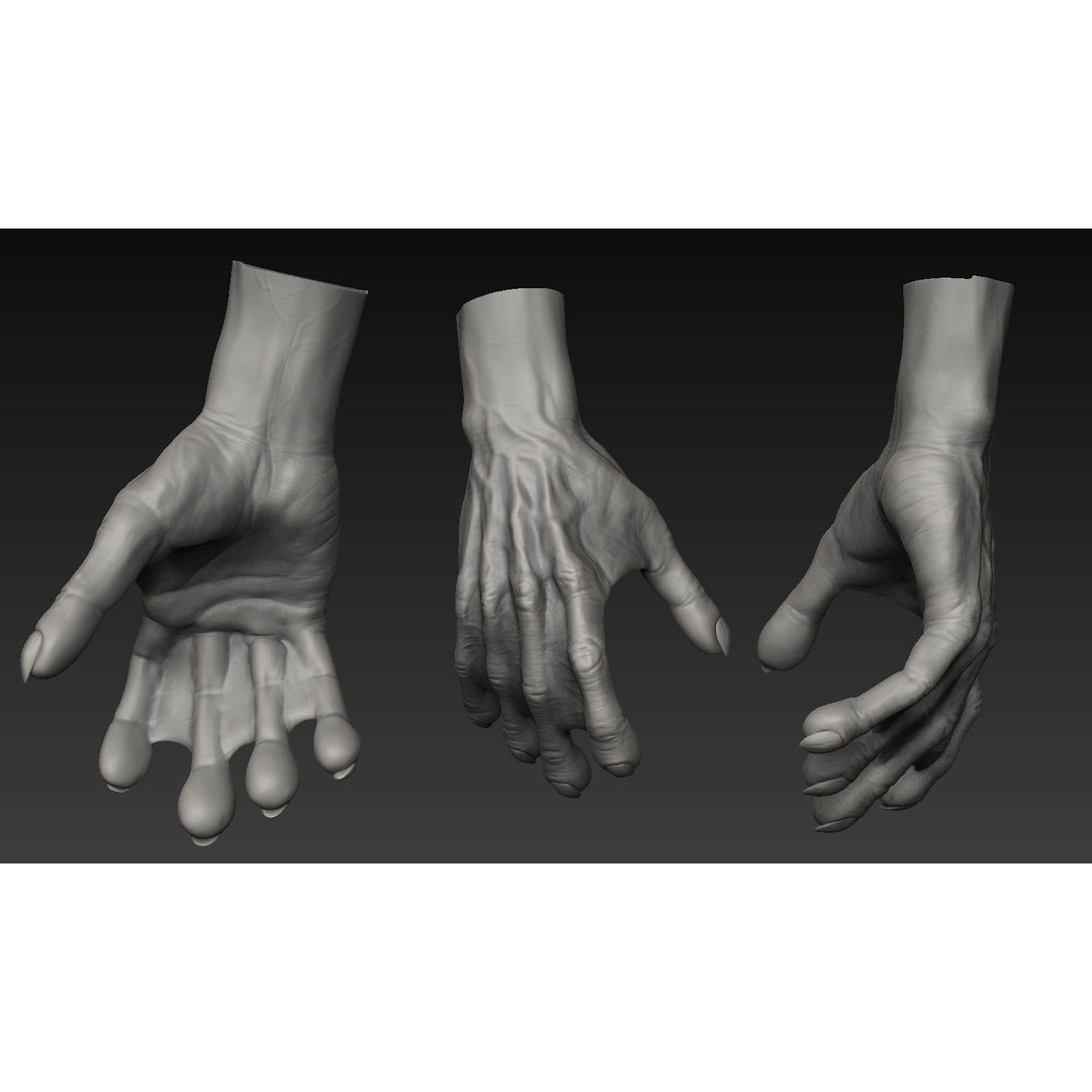 Hand 3D Model – Detailed Realistic Claws and Fingers, OBJ, STL - View 20