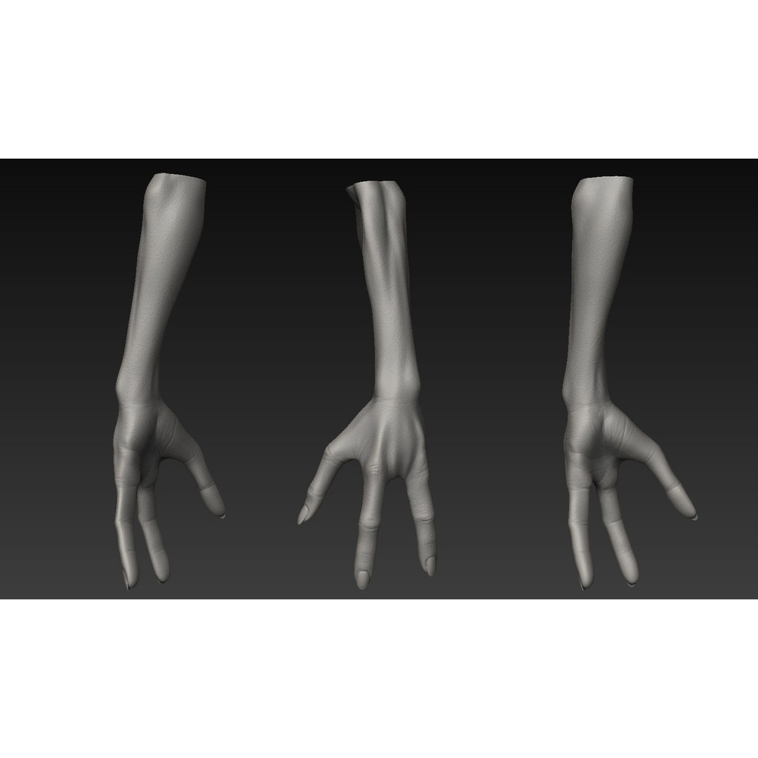 Hand 3D Model – Detailed Realistic Claws and Fingers, OBJ, STL - View 23