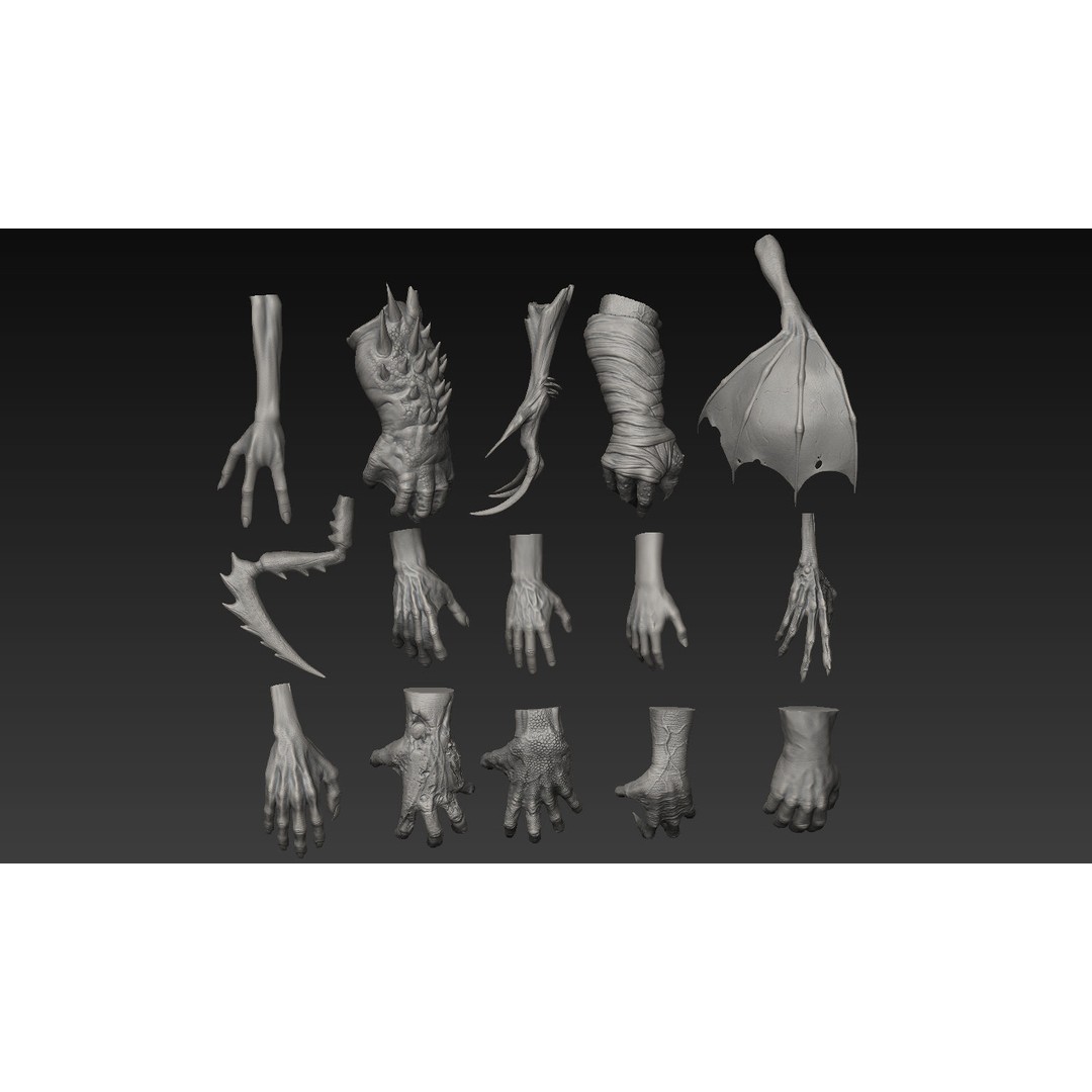 Hand 3D Model – Detailed Realistic Claws and Fingers, OBJ, STL - View 3