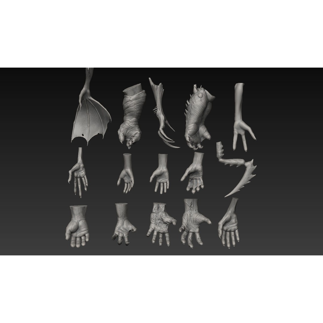 Hand 3D Model – Detailed Realistic Claws and Fingers, OBJ, STL - View 5