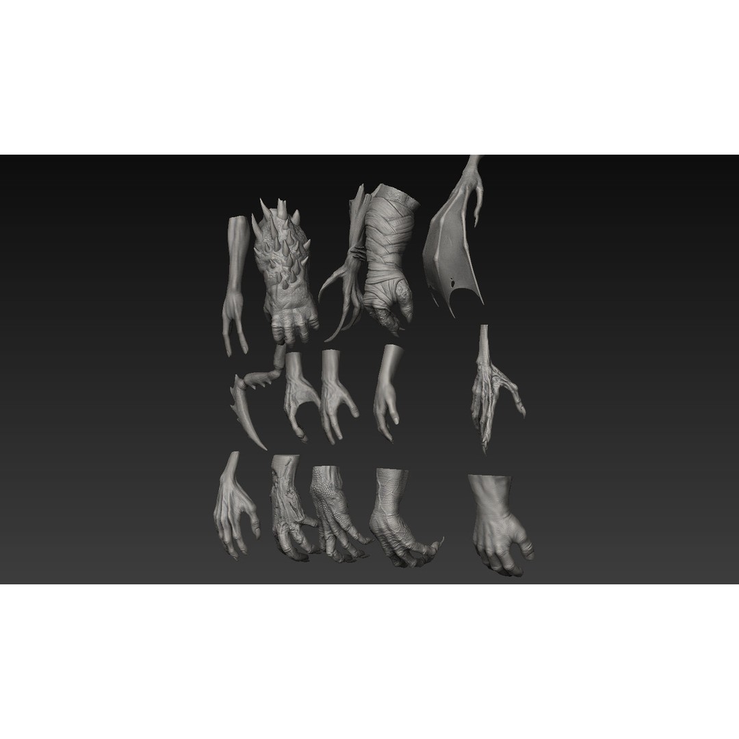Hand 3D Model – Detailed Realistic Claws and Fingers, OBJ, STL - View 6