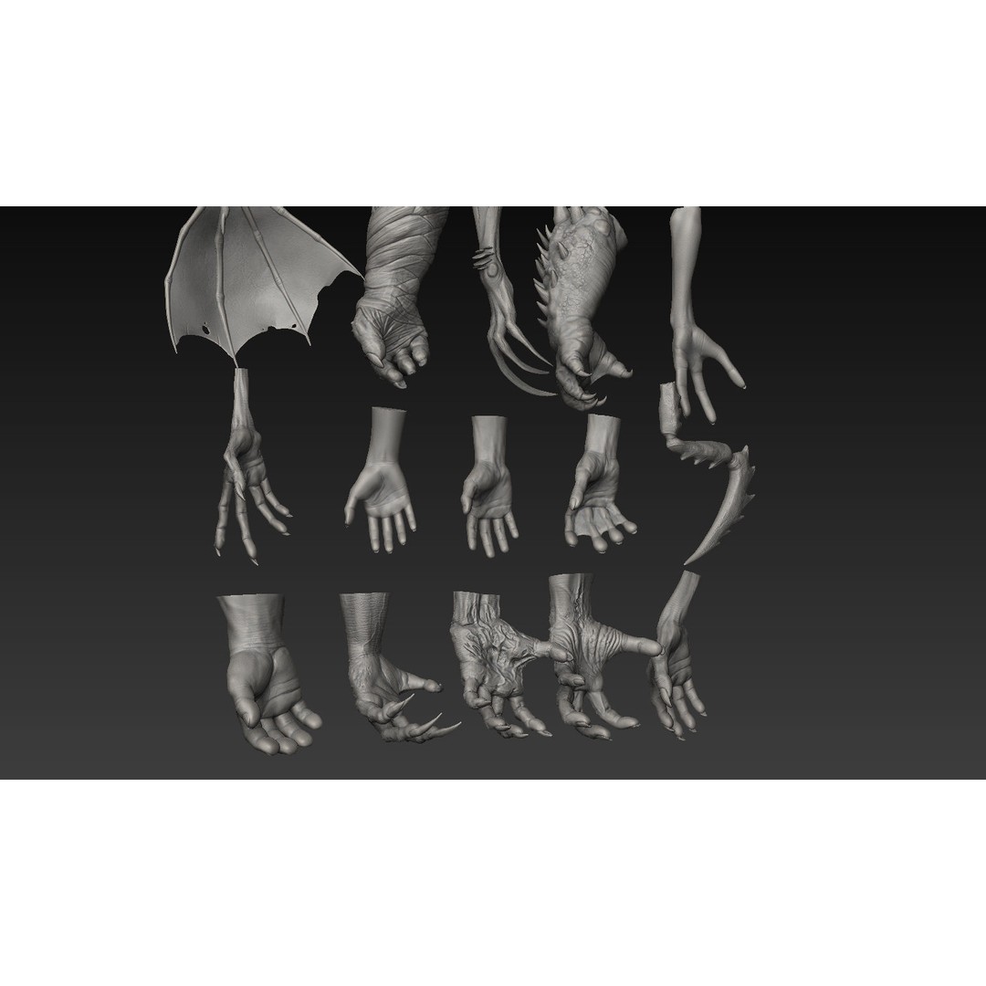 Hand 3D Model – Detailed Realistic Claws and Fingers, OBJ, STL - View 7