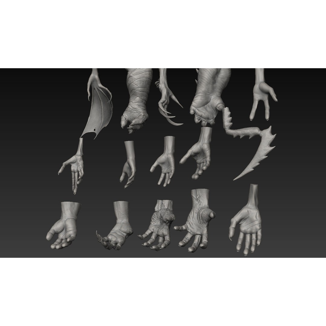 Hand 3D Model – Detailed Realistic Claws and Fingers, OBJ, STL - View 8